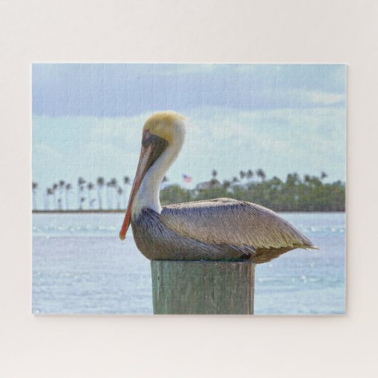 Bruine Pelican en palmbomen Legpuzzel (Horizontaal)