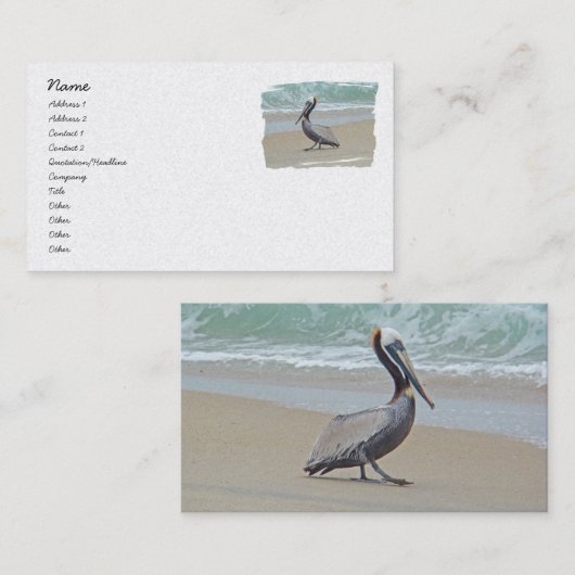 Bruine Pelican op het strand Visitekaartje (Voorkant / Achterkant)