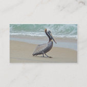 Bruine Pelican op het strand Visitekaartje (Achterkant)