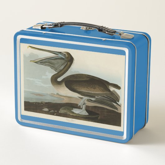 Bruine Pelican van de Amerikaanse vogels van Audub (Achterkant)