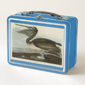 Bruine Pelican van de Amerikaanse vogels van Audub (Voorkant)