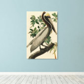 Bruine Pelican van de Amerikaanse vogels van Audub Canvas Afdruk (Insitu (Houten vloer))