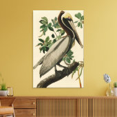 Bruine Pelican van de Amerikaanse vogels van Audub Canvas Afdruk (Insitu (Woonkamer))