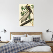 Bruine Pelican van de Amerikaanse vogels van Audub Canvas Afdruk (Insitu (Slaapkamer))