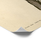 Bruine Pelican van de Amerikaanse vogels van Audub Poster (Hoek)