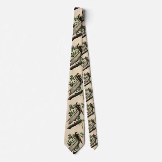 Bruine Pelican van de Amerikaanse vogels van Audub Stropdas (Voorkant)