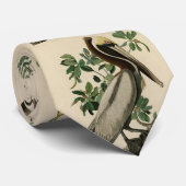 Bruine Pelican van de Amerikaanse vogels van Audub Stropdas (Opgerold)