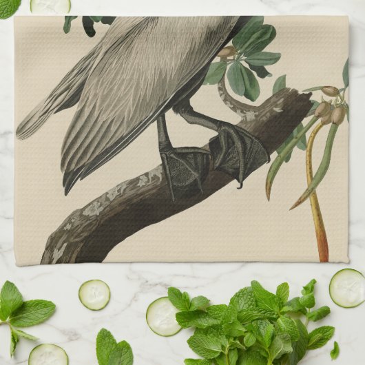 Bruine Pelican van de Amerikaanse vogels van Audub Theedoek (Gevouwen)