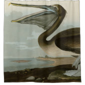 Bruine Pelican van het Amerikaanse Show van Audubo Douchegordijn (Voorkant)