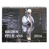 Bruine Pelicans Kalender (Hoes)