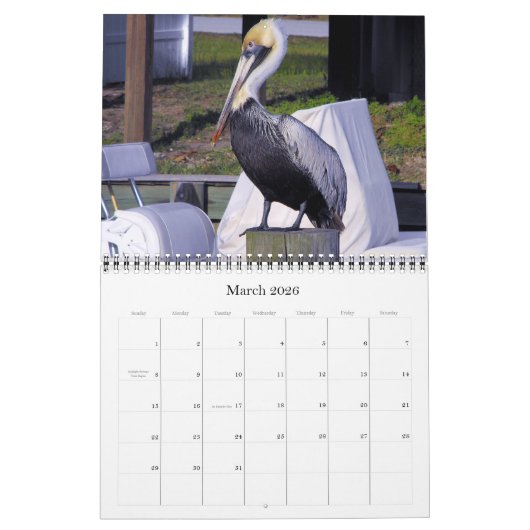 Bruine Pelicans Kalender (Mar 2026)