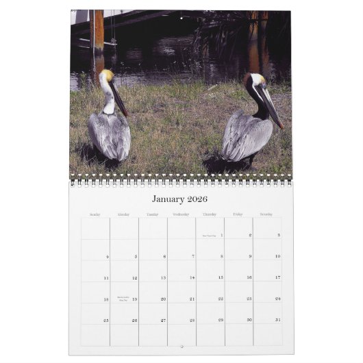 Bruine Pelicans Kalender (Jan 2026)