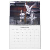 Bruine Pelicans Kalender (Feb 2026)