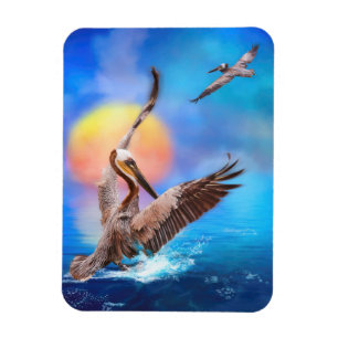 Bruine Pelicans SUN KISSED PELICAN ISLAND Magneet