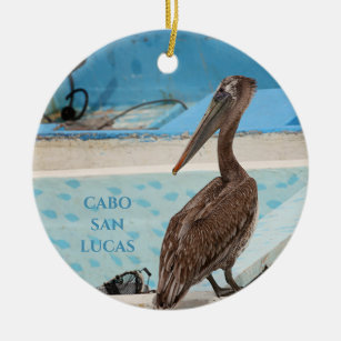 Bruine Pelikaan   Cabo San Lucas Keramisch Ornament