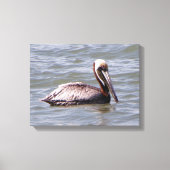 Bruine Pelikaan canvas print (Voorkant)