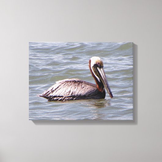 Bruine Pelikaan canvas print (Voorkant)