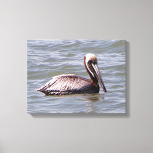 Bruine Pelikaan canvasprint Canvas Afdruk