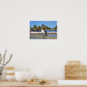 Bruine Pelikaan, Higgs Beach, Key West, Florida Poster (Keuken)