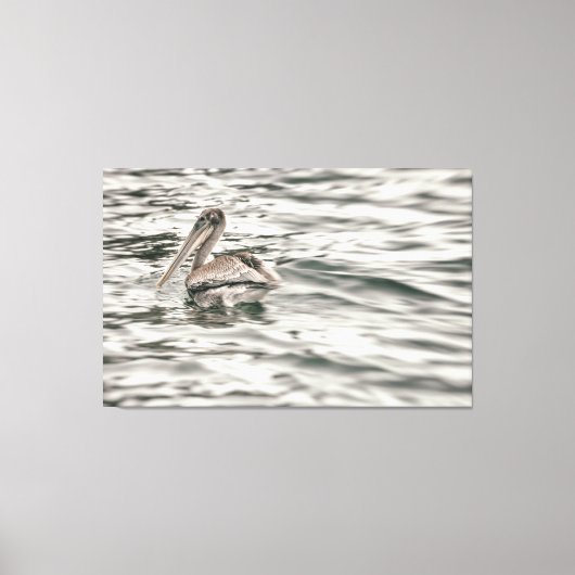 Bruine pelikaan in het water canvas afdruk (Voorkant)