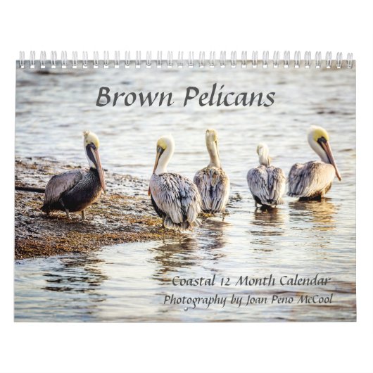 Bruine Pelikaan Kalender (Hoes)