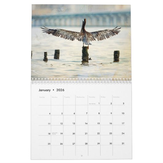Bruine Pelikaan Kalender (Jan 2026)