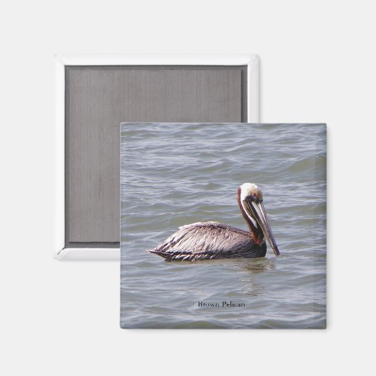 Bruine Pelikaan magneet (Voorkant / Achterkant)