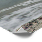 Bruine Pelikaan op het strand Foto Poster (Hoek)