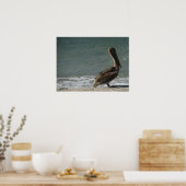Bruine Pelikaan op het strand Foto Poster (Keuken)