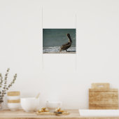 Bruine Pelikaan op het Strand Foto Poster (Keuken)