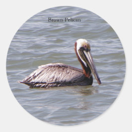 Bruine Pelikaan sticker
