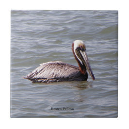 Bruine Pelikaan tegel Tegeltje