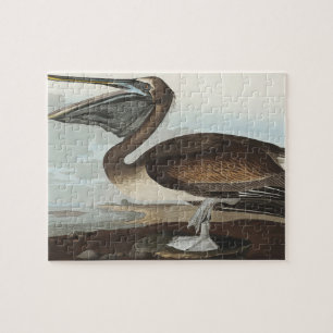 Bruine Pelikaan uit Birds of America Legpuzzel