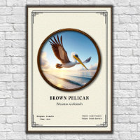 Bruine Pelikaan Zoölogie Poster