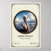 Bruine Pelikaan Zoologie Serie Poster (Voorkant)