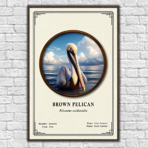 Bruine Pelikaan Zoologie Serie Poster