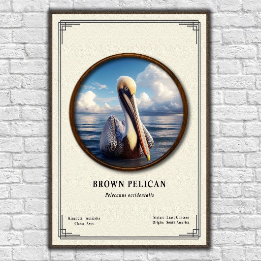 Bruine Pelikaan Zoologie Serie Poster