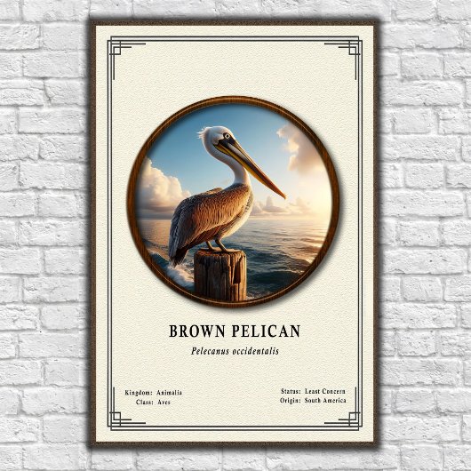 Bruine Pelikaan Zoologie Serie Poster