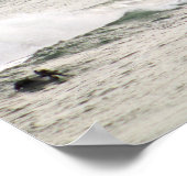 Bruine Pelikans over de oceaankleur 16x20 Poster (Hoek)