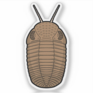 Bruine Phacops Trilobiet - Prehistorisch Dierenvin Sticker