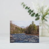 bruine pierre briefkaart (Staand voorkant)