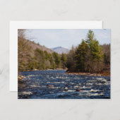 bruine pierre briefkaart (Voorkant / Achterkant)