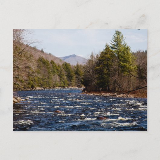 bruine pierre briefkaart (Voorkant)