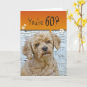 Bruine poel voor 60e verjaardag kaart (Gele Bloem)