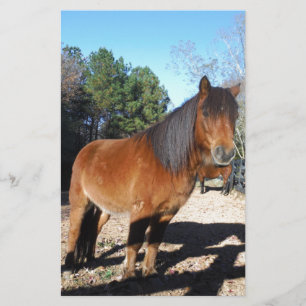Bruine pony turquoise Lucht Briefpapier