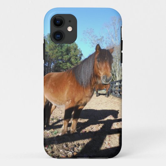 Bruine pony turquoise Lucht Case-Mate iPhone Case (Achterkant)