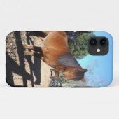 Bruine pony turquoise Lucht Case-Mate iPhone Case (Achterkant (horizontaal))