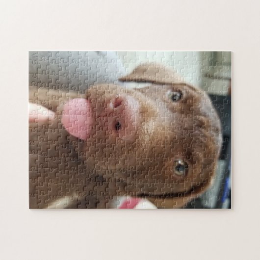 bruine puppy legpuzzel (Horizontaal)