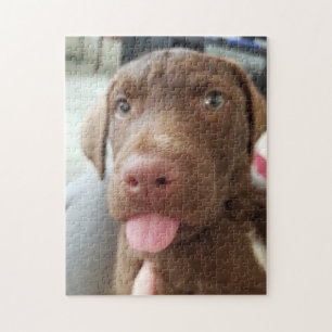 bruine puppy legpuzzel