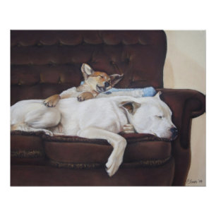 bruine puppy met witte amerikaanse snuithond poster